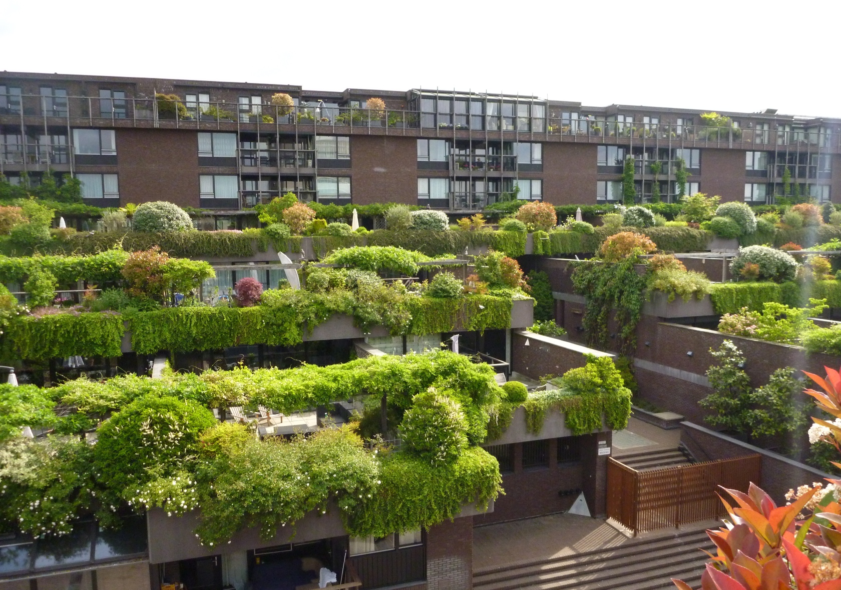 Rendezvous Piket Delegeren Medina-hangende-tuinen-eindhoven - Soontiens Stadsnatuur