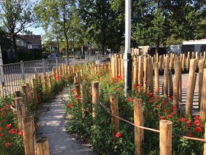 Groene schoolpleinen: Samenspeelplein Startblok.