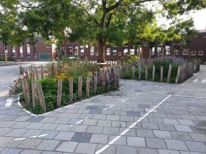 Groen schoolplein: fietsparcours met groen bij basisschool de Klimboom.