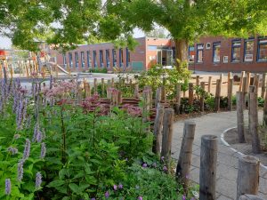 Groen schoolplein: fietsparcours met groen bij basisschool de Klimboom.