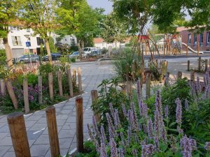 Groen schoolplein: fietsparcours met groen bij basisschool de Klimboom.