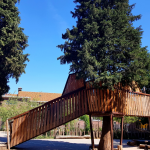 loopbrug met kraaiennest rondom volwassen boom op groen schoolplein.