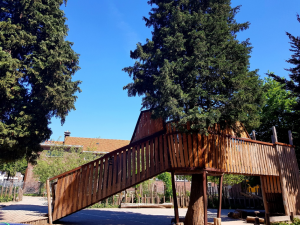 loopbrug met kraaiennest rondom volwassen boom op groen schoolplein.