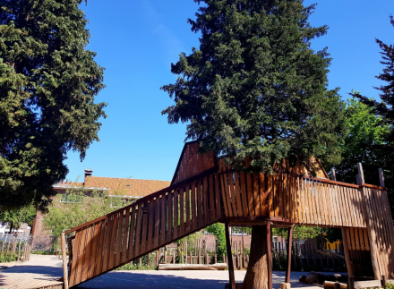 soontiens-groene-schoolpleinen soontiens-groene-schoolpleinen