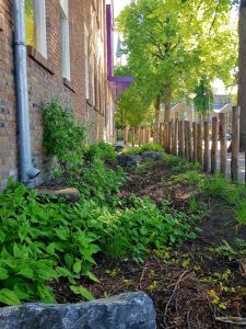 Wadi bij een groen schoolplein met dakafwatering.