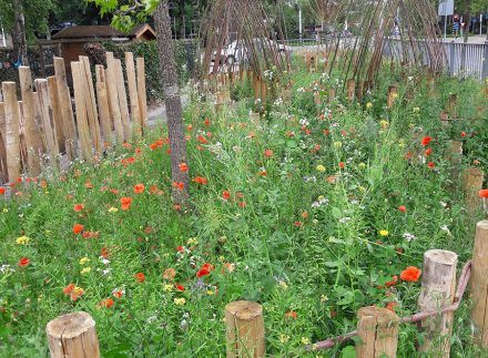 Schoolplein perk ingezaaid met betaalblare bloemenmengsels en wilgentunnels, afgeschermd door paaltjes