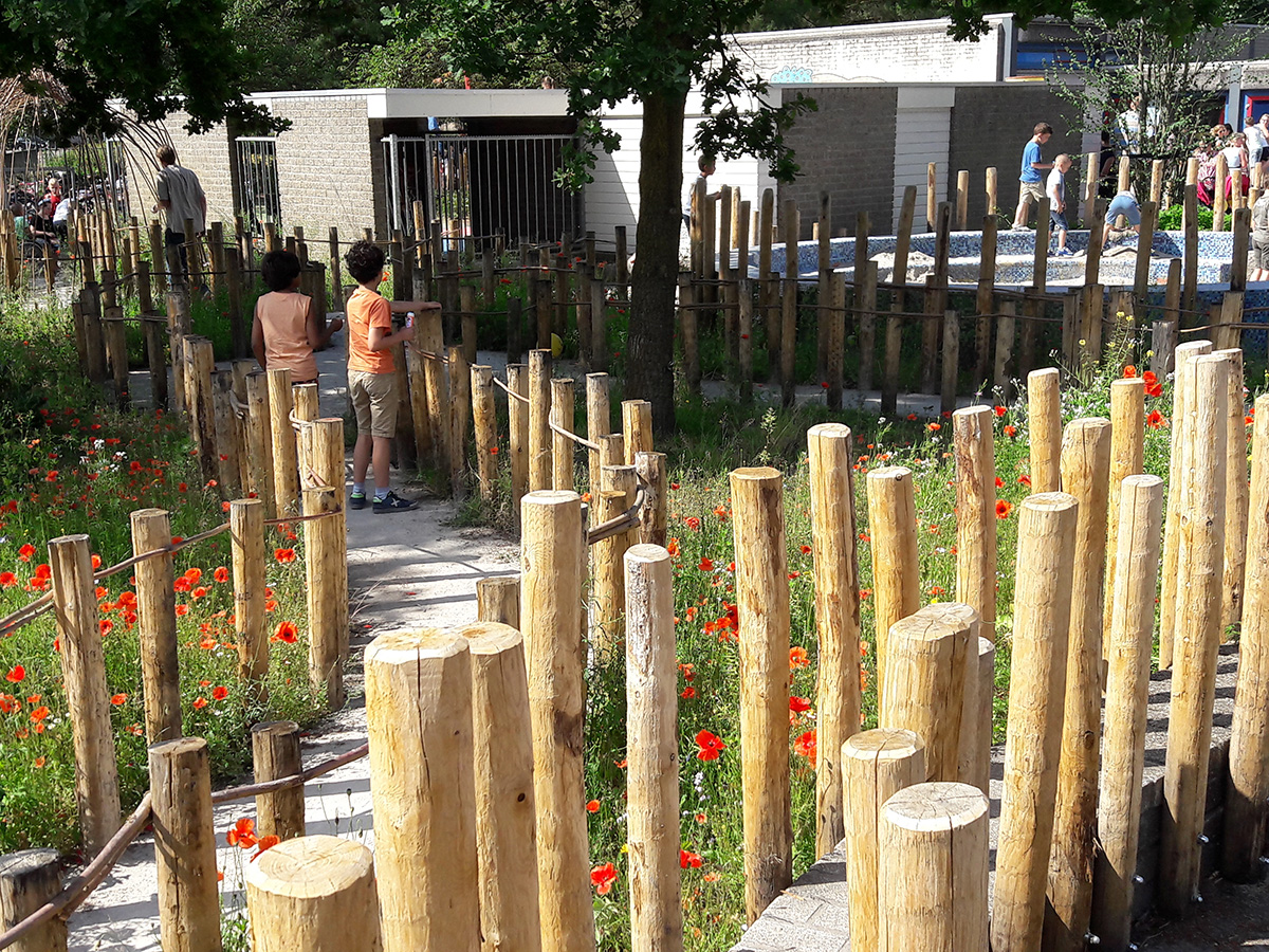 Groen schoolplein met bloemenmengsels en paaltjes voor een avontuurlijk pad.