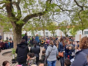 Vlonder rondom honingboom op vergroend schoolplein.