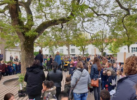 Vlonder rondom honingboom op vergroend schoolplein.