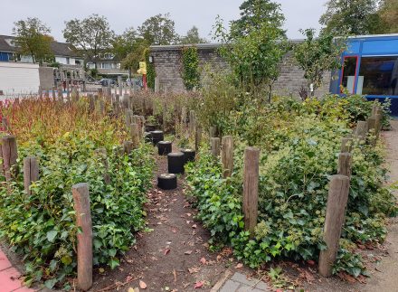 Natuurlijk groen schoolplein met hink-stap-sprong paaltjes en palen ter bescherming van het groen.