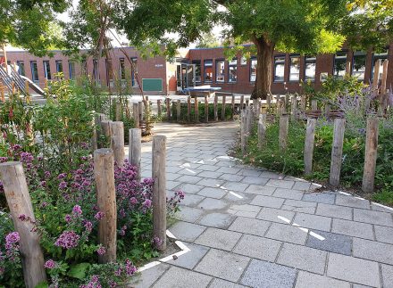 Paaltjes langs fietsparcours bij plantperkjesop een groen schoolplein.